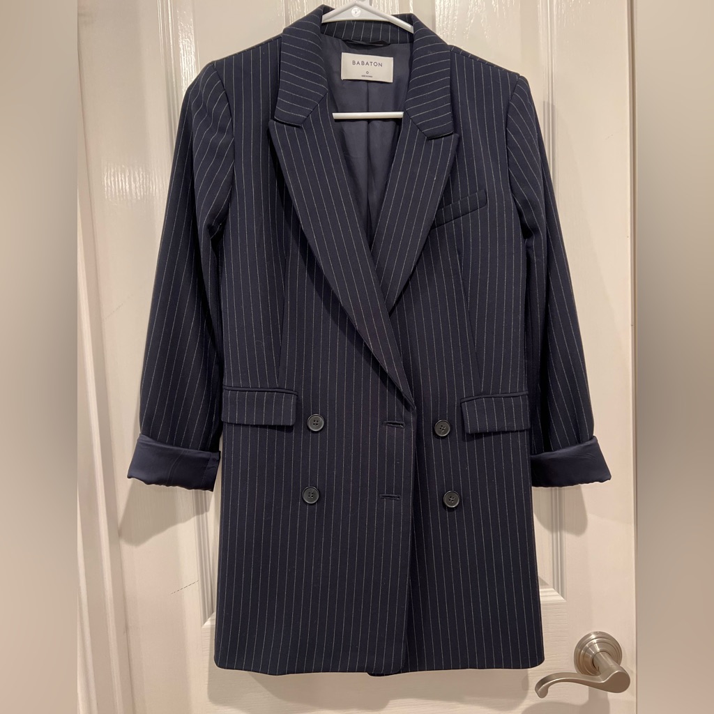 Aritzia Babaton Blazer